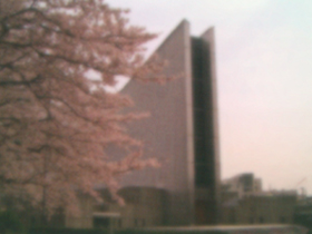 東京カテドラル聖マリア大聖堂